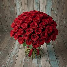Букет 55 Красных роз Фридом #REPLACE_PRED# Харланиху-2