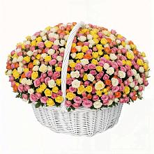 Премиум букет из: Розы в Харланиху-2