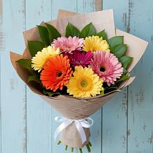 Букет цветов из:  Герберы #REPLACE_PRED# Харланиху-2