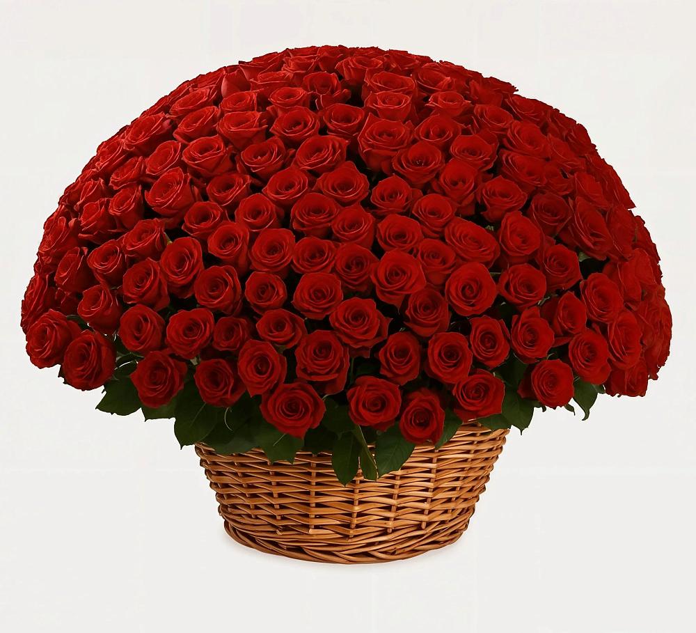Премиум букет из: Розы в Харланиху-2