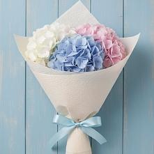 Букет цветов из:  Гортензия в Харланиху-2