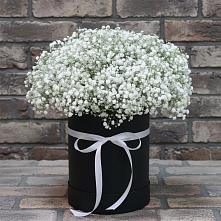 Цветочная композиция из Гипсофила в шляпной коробке #REPLACE_PRED# Харланиху-2