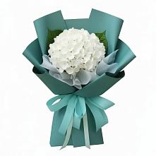 Букет цветов из:  Гортензия #REPLACE_PRED# Харланиху-2